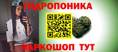 трава Новокубанск