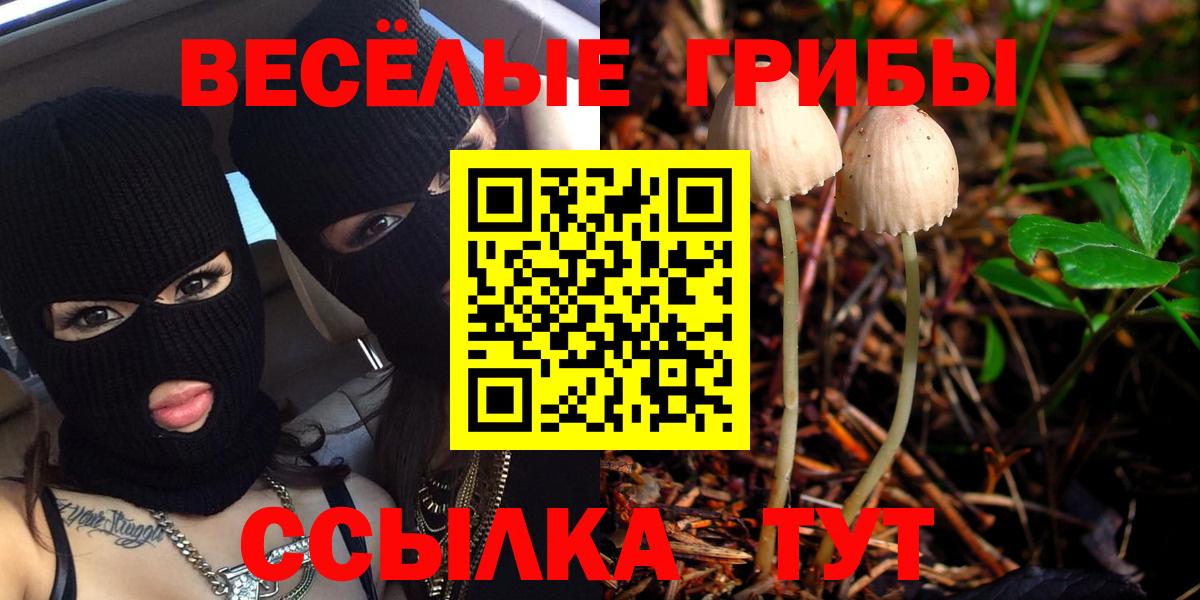 Псилоцибиновые грибы Cubensis Сегежа